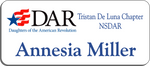 Load image into Gallery viewer, Tristan De Luna Chapter NSDAR Name Badge - White w/ Color
